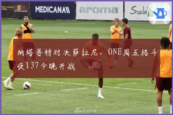 纳塔吾特对决萨拉尼，ONE周五格斗夜137今晚开战